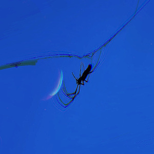 sunspider