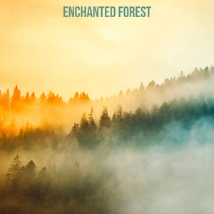 Magic Noise in the Forest