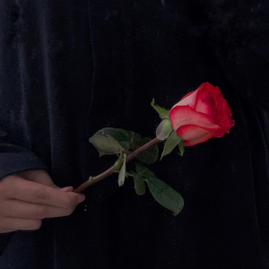 等玫瑰告别Vlo.1