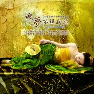 花柳两相柔 (卡拉版)