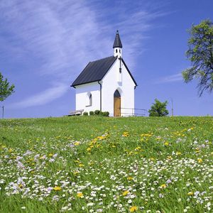 我是不是你最疼爱的人