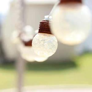 匆匆在我心里留束花 又朝远方飞去