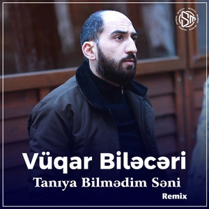 Tanıya Bilmədim Səni (Remix)