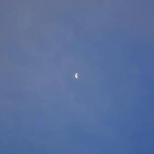 给你们（Cover 张宇）