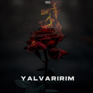 Yalvarırım