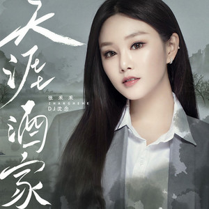 天涯酒家 (DJ沈念版)