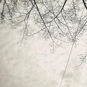 关于郑州的记忆（翻自 李志）