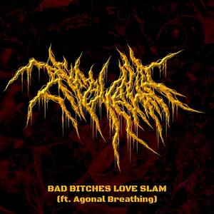 BAD B*****S LOVE SLAM (feat. Agonal Breathing)