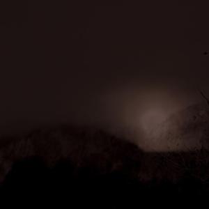 Graverobbing In Texas