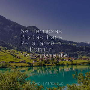 Melocotoneros Tranquilos