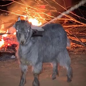 【Detroit】依然底特律 42Dugg&ESTGee type beat