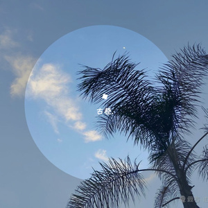 南风-袖手旁观_20220628_170153