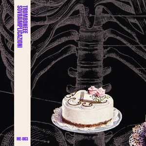 Tra gli umani e i loro strumenti