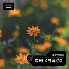 豫剧 杨文丽《白莲花》清晨起进深山路过溪涧