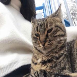 Ey Sevdiğim Sana Şikayetim Var