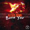 Alexis Donn - Burn You