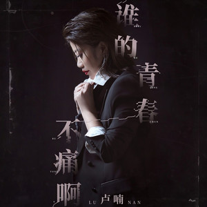 谁的青春不痛啊 (DJ版)