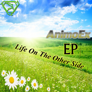 Free Fall (Original Mix)