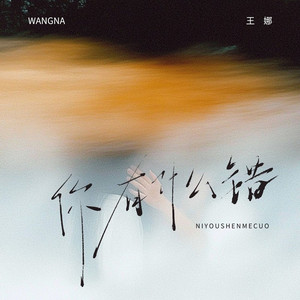 你有什么错 (DJ九零版)