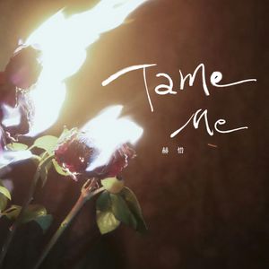 Tame Me（《垂涎》OST翻唱）