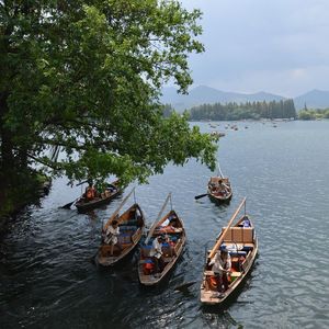 奋斗中的小角色