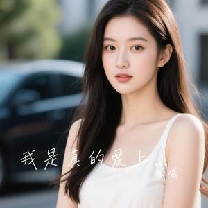 我是真的爱上你  (偷偷的爱上你) (Cover 何欢浪)
