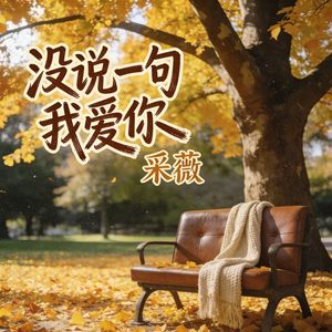 没说一句我爱你