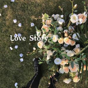 Love Story（Remix）
