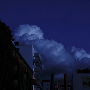 我不要桃花 (特别版)