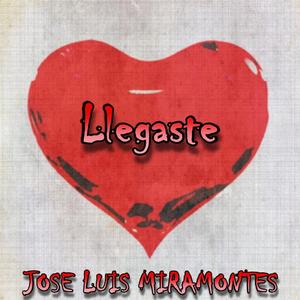 Llegaste