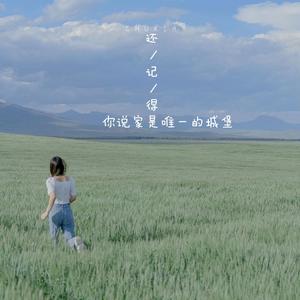 还记得，家是唯一的城堡