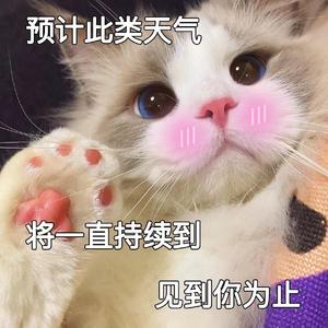 のんきな昼下がり