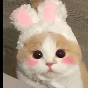 感谢你曾经来过