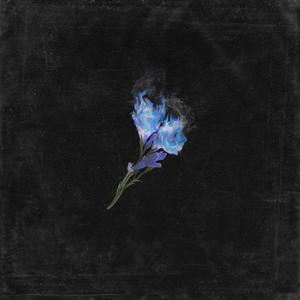 Poloet : 연기