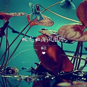 蛟龙出水凤凰吟