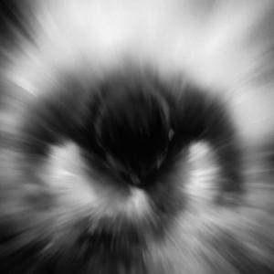 Charging In Headfirst