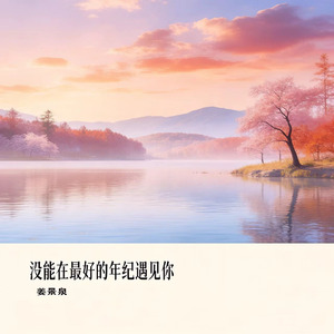 没能在最好的年纪遇见你