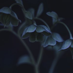 break the rules（Prod by $tan）