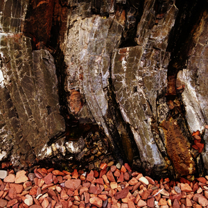 Tjörnes (Wolf Alice)