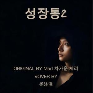 성장통2 (成长的烦恼2) (Cover 차가운 체리)