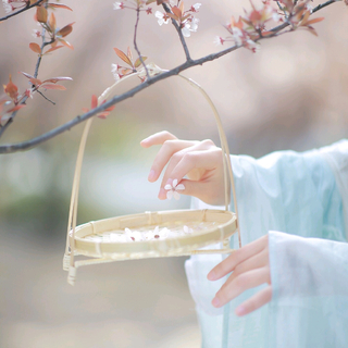 古风·春日｜疏懒意何长，春风花草香