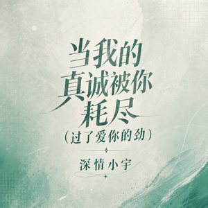 当我的真诚被你耗尽（过了爱你的劲）
