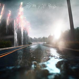 Rose VS Chrysanthème