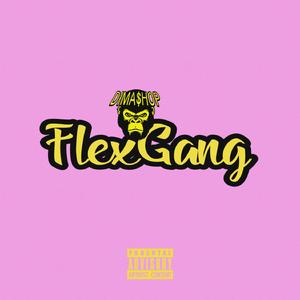 FlexGang