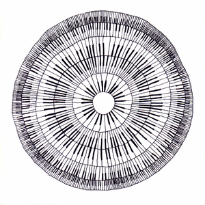 With all These Things to Remember...