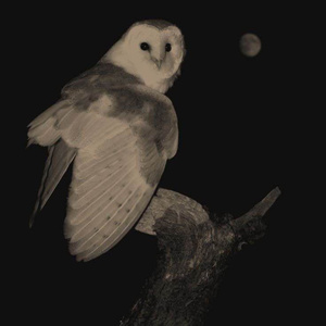 Внутренний крик