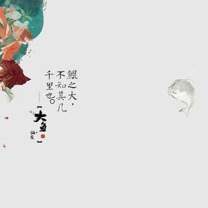 周深-大鱼（loyi洛 remix）