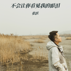 不会让你看见我的眼泪