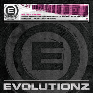 Music Made Addict (Headhunterz & Wildstylez Rmx)