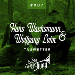 Tauwetter (Unplugged)